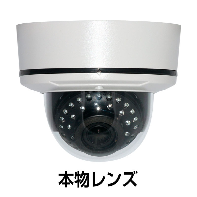 ネクステージ 屋外防滴ダミーカメラ E660D