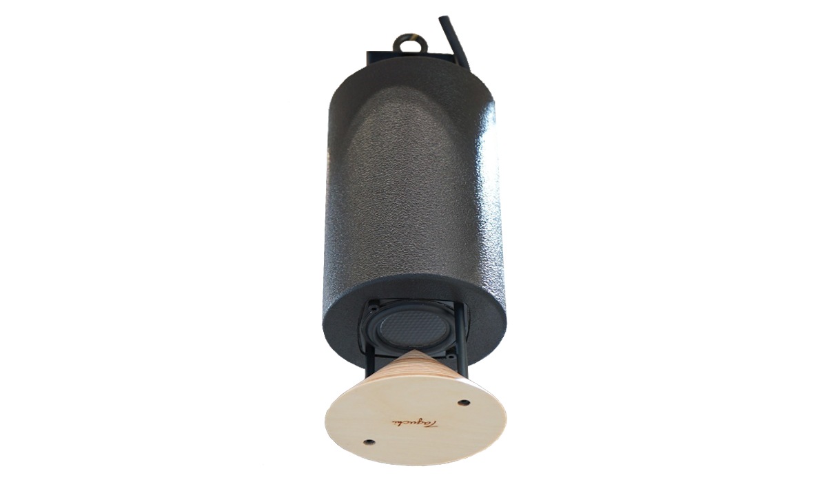 タグチ Taguchi 天吊り型スピーカー ブラック (木地色クリアー) REX060-P-B-CL 【受注生産】