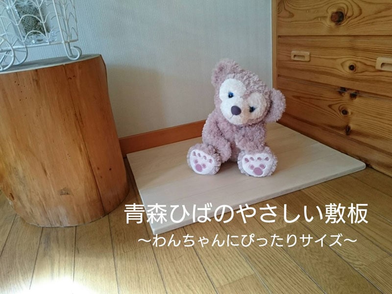 �Ҥ����� S��������̾�������ͭ
