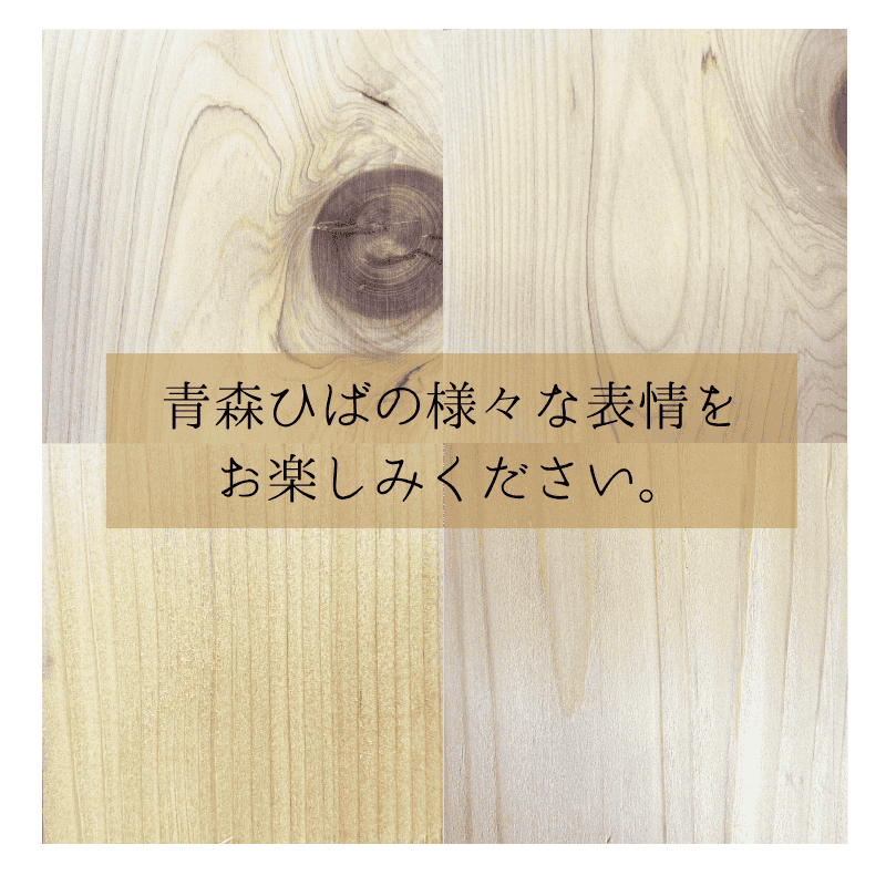 ĿҤХʾư 10祻åȡ10OFF