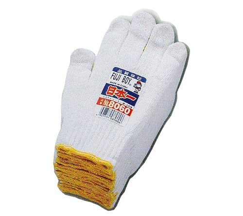 8060 FUJIBOY ܰ졡[720]