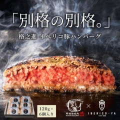 【格之進×イベリコ屋 コラボ】生ハンバーグ 120g×6個 国産牛×イベリコ豚 化粧箱入り 冷凍