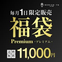 �ڥ��٥ꥳ������ VIPʡ�ޡۥ��٥ꥳ�� 1���������� ���� ʡ�� 1���� ���� ��5����� ʡ�ޡ�VIP��