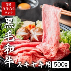 A4 A5等級 黒毛和牛 切り落とし すき焼き 500g 牛肉 和牛 冷凍