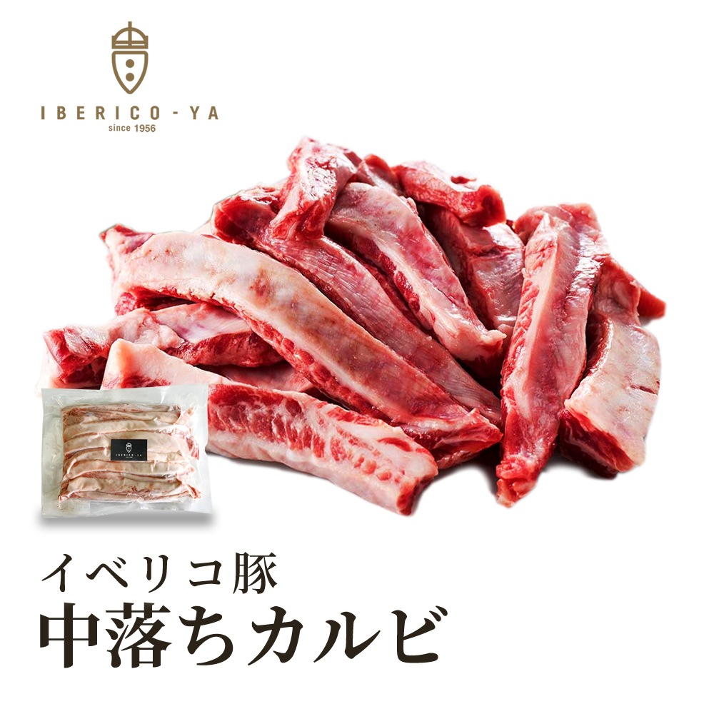 ǹ ٥ꥳ  500g ֥ե󥬡 쥢롦٥硼 ñ ̵ 
