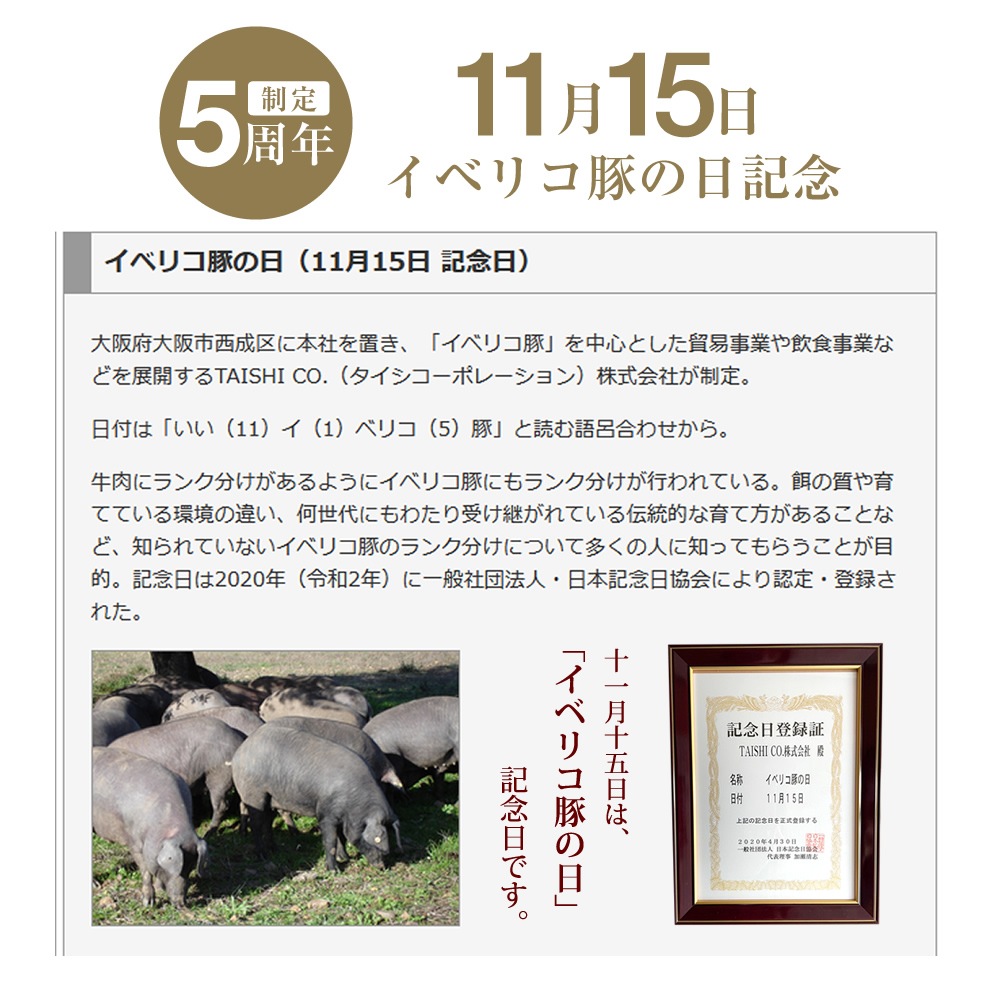 ڥ٥ꥳڤ5ǯǰò ʡ ٥ꥳ ͤ碌  [ 11/1511/20]