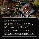 ¨ 5000ߥۥե A ٥ꥳ 4狼٤륰᥮եȷ  󼡲 ﲹ