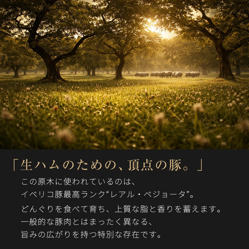 ������⤤���ϥ�ǧ�� 1�� ���٥ꥳ�� �쥢�롦�٥��硼�� ���ϥ� ���� ��7kg 5ǯ���� �������ϥ���&�ʥ����� ��100���� �ﲹ 