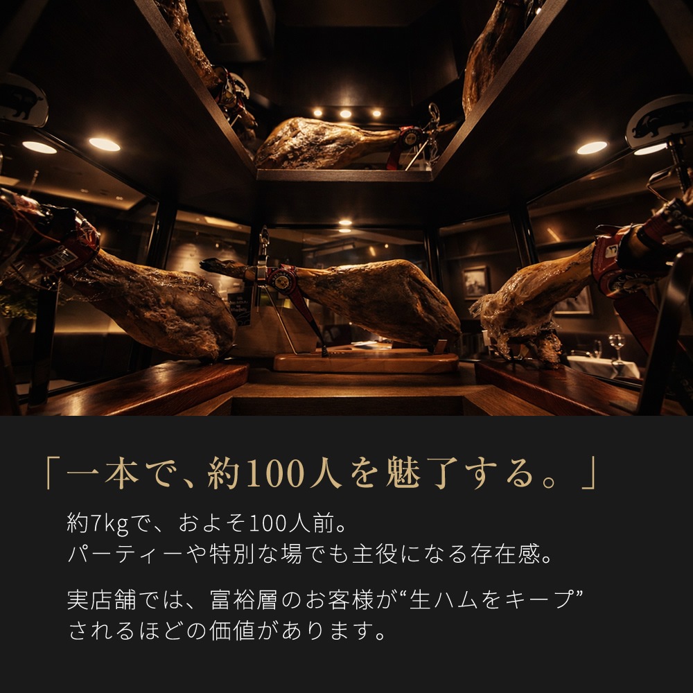 ������⤤���ϥ�ǧ�� 1�� ���٥ꥳ�� �쥢�롦�٥��硼�� ���ϥ� ���� ��7kg 5ǯ���� �������ϥ���&�ʥ����� ��100���� �ﲹ 