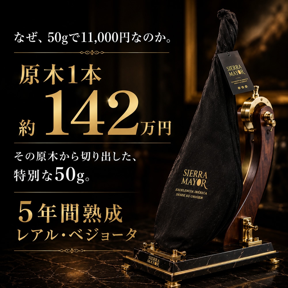 ������⤤���ϥ� �������� �����ǹ��� ���٥ꥳ�� 5ǯ���� �쥢�롦�٥��硼�� ��ڥ֥å�������Ȣ���� ��¢