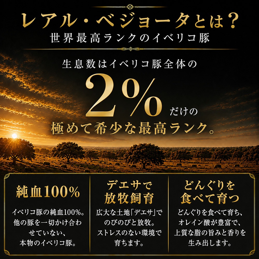 ������⤤���ϥ� �������� �����ǹ��� ���٥ꥳ�� 5ǯ���� �쥢�롦�٥��硼�� ��ڥ֥å�������Ȣ���� ��¢