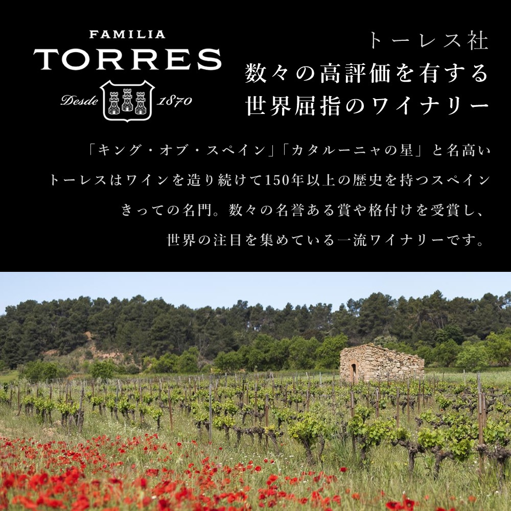 �����ϥ���֥磻��� ���٥ꥳ�� �쥼����� ���٥ꥳ�� ���ϥ� 4�� ��300g ��¢ �磻�󥻥å� ���� BOOK����Ȣ����