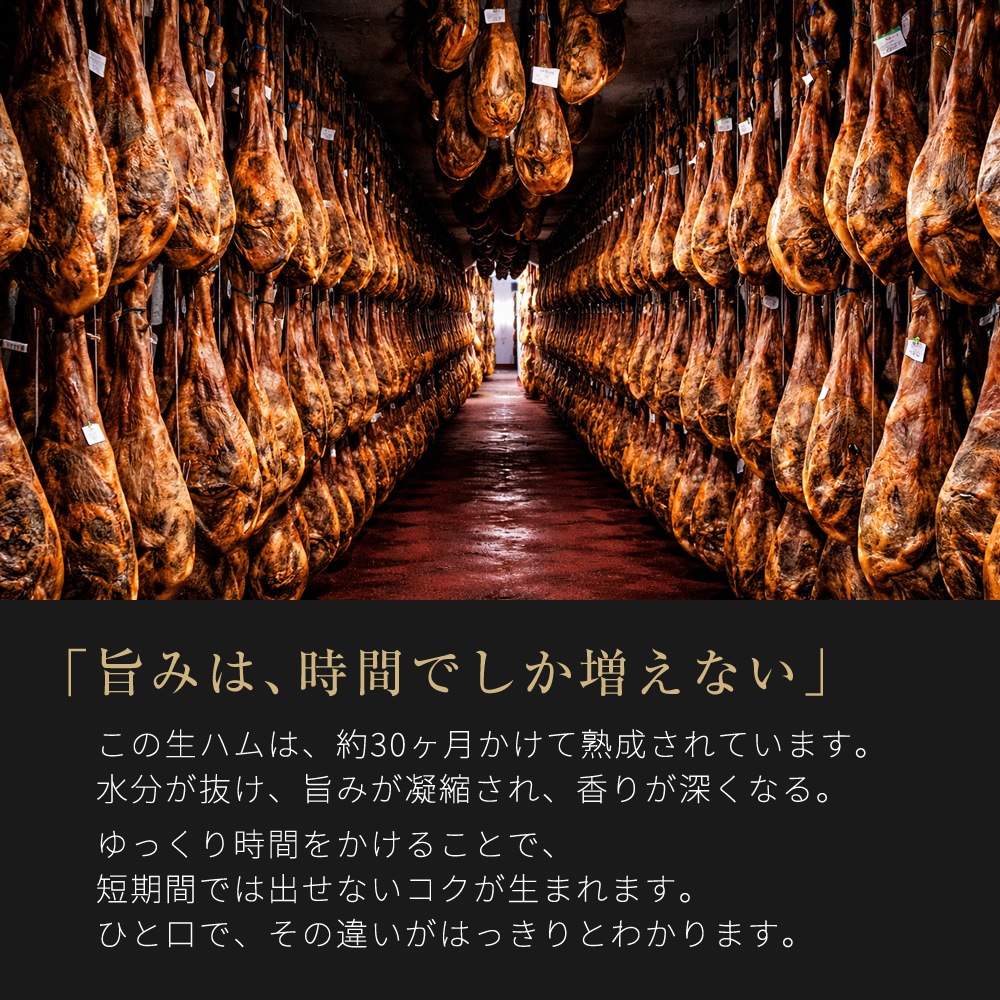 ������륷���ݡ��� ���ϥึ�� 1�� ��8kg 30������� �ﲹ