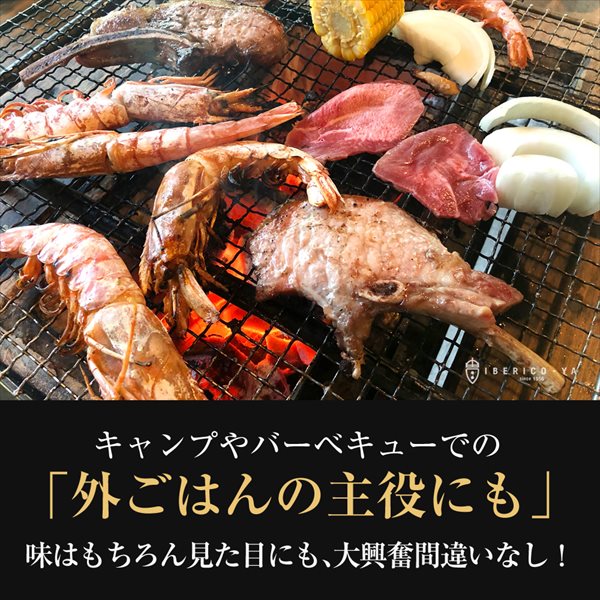 ٥ꥳ դơ ȥޥۡ  1 120g ٤礭 BBQ 