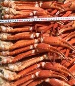 2550⇒1870円★13.6kg売/ボイル紅ズワイ蟹(150-200g)Lサイズ