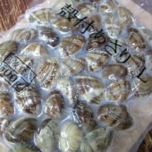 500gx10p/販売◆殻付ボイルアサリ/M(51-60粒)