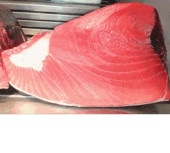 高品質◆メバチマグロ中トロブロック赤身混じり/6-8キロ柵取