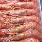 2kg売◆希少アルゼンチン赤海老L3(30-40尾/kg)小分け