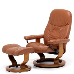 展示品！ エコーネス【ディプロマット】ストレスレスチェア＆オットマン・ 本革 エコーネス ストレスレスチェア ディプロマット キャメル 中古 | SOLD