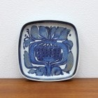 �̲� ������ơ��� ������륳�ڥ�ϡ����� Tenera �ƥͥ� ���������ץ졼��