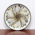 �̲� ������ơ������� ������륳�ڥ�ϡ����� �Хå� �ݻ� �礭��