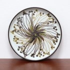 �̲� ������ơ������� ������륳�ڥ�ϡ����� �Хå� �饦��ɥץ졼�� �礭��