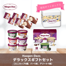 ハーゲンダッツ　デラックスギフトセット