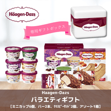 ハーゲンダッツ　バラエティギフト