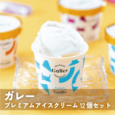 ガレープレミアムアイスクリーム12個セット【送料込】