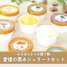 ～みるぽんからの贈り物～愛媛の恵みジェラートセット(12個入り)【送料込】