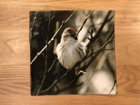 クッションカバー　鳥|クッションカバー|雑貨
