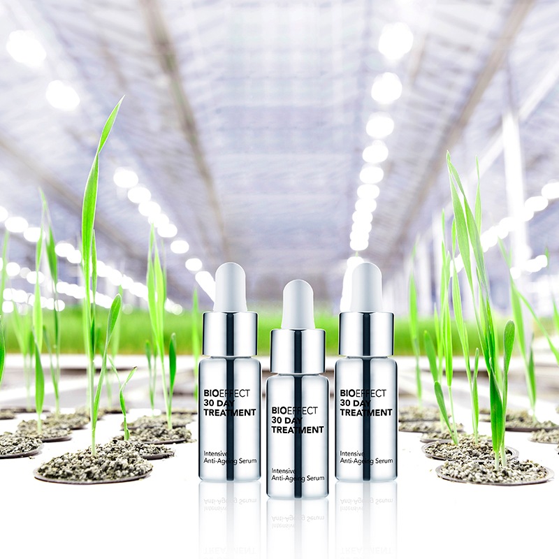 �ӡ�����������30Day �ȥ꡼�ȥ���