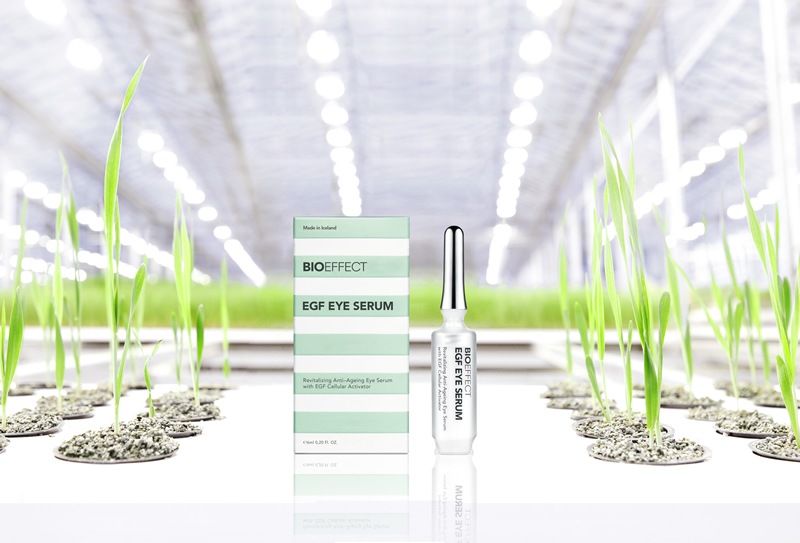 �ӡ��������� ���������