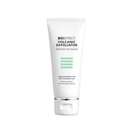 �ӡ��������� �ܥ륫�˥å��������ե��ꥨ����