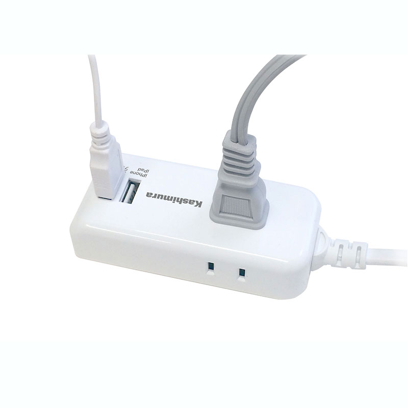 旅行グッズ】兼用2口電源タップ AタイプUSB 2.1A TI-174 | 海外電化