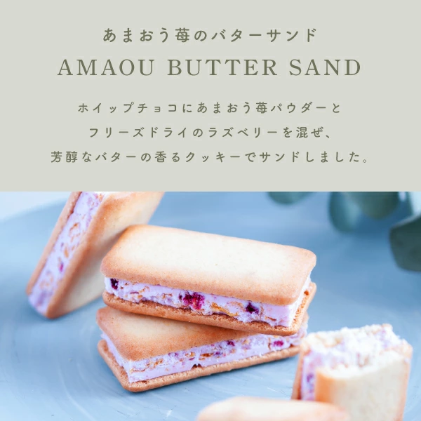 夏ギフト お中元 苺のワルツ 2種のスイーツギフト Sサイズ waltz あまおう 苺 焼き菓子 内祝 送料無料 宅急便発送 Agift