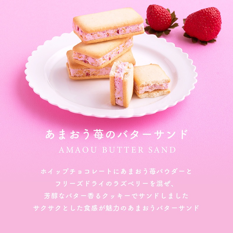 苺のワルツ 巾着 SSサイズ | プチギフト お配り まとめ買い ラッピング  お礼 お返し お祝い プレゼント お菓子 ギフト スイーツ 焼き菓子 洋菓子 お土産 手土産 個包装 チョコレート タルト クッキー waltz 宅急便発送 常温発送 Pgift
