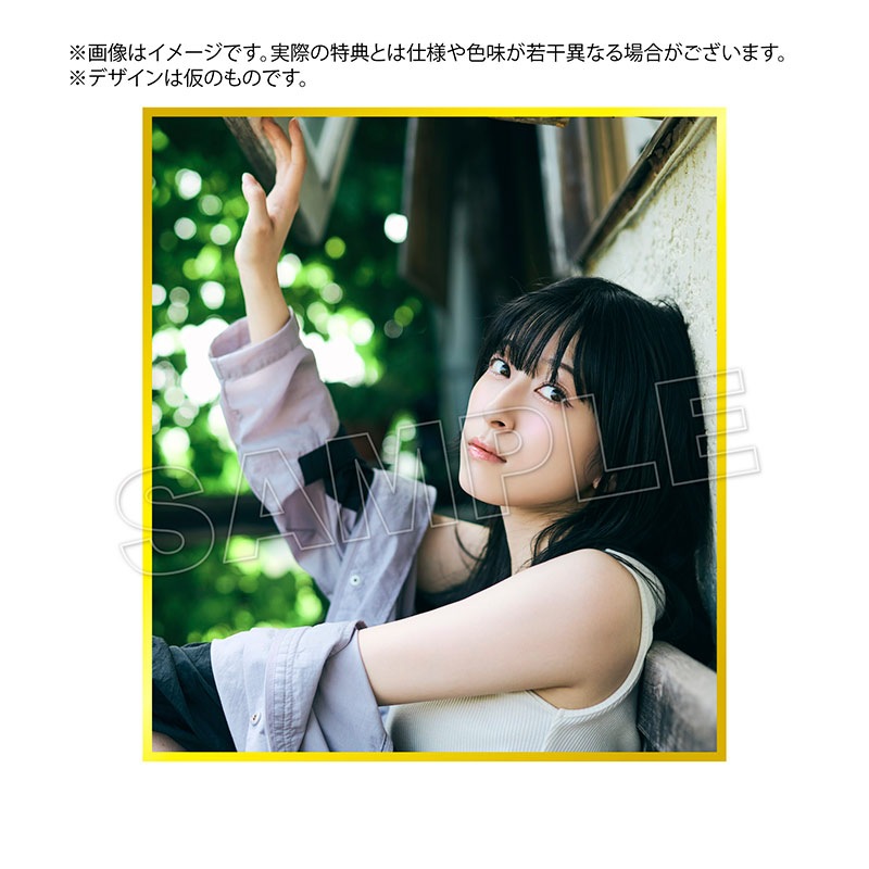 DIALOGUE＋ 全員サイン入り色紙 にゃんぼりー 色紙額付き DIALOGUE＋ 全員サイン入り色紙 にゃんぼりー 色紙額付き