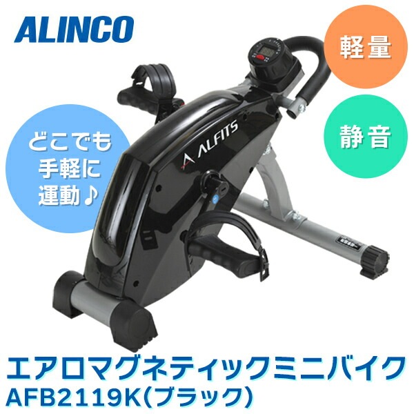 ALINCO（アルインコ）:エアロマグネティック ミニバイク 2119