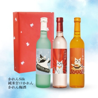 ȥ߸ꥻåȡʡס500ml3