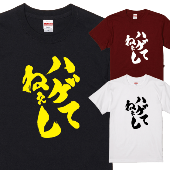 【おもしろｔシャツ】【爆笑ネタシリーズ】「ハゲてねぇし」Ｔシャツ　【パロディＴシャツ　男女兼用　おみやげ　プレゼント】