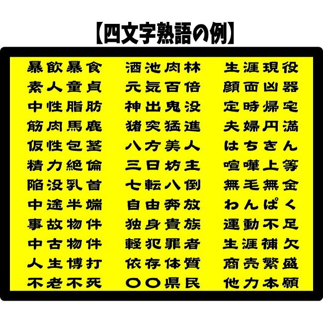 名前入り商店 長袖Tシャツ 生まれ年~名入れ~お好きな四文字熟語等でオリジナルTシャツを作ろう! 綿ロンTとドライロンTを選択 ギフトにも最適