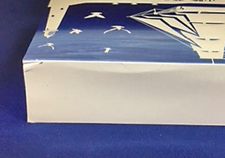 ץ롼եåȡʿ9ǯ1997ǯ̴ߤʤǰȢˤͭꡡΣ