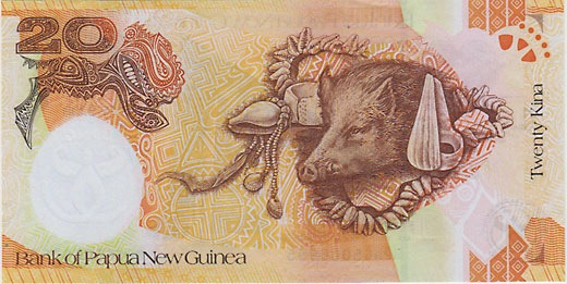 �ѥץ����˥塼�����˥�����������Ω35��ǯ��20���ʻ���2008��UNC