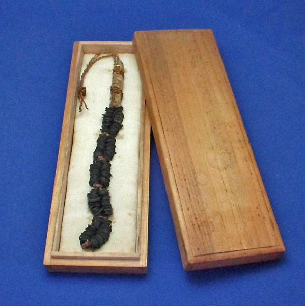 ���졦�������ʤդ����󤻤�ˤ��Σ�