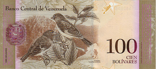 �٥ͥ����顡100�ܥ�С��뻥��2015��UNC