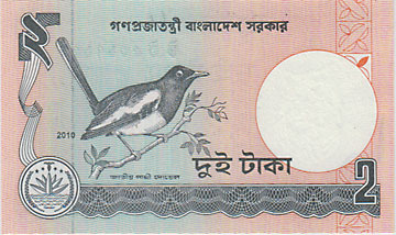 �Х󥰥�ǥ��塡2��������2010  UNC