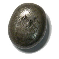 ʸƦĶ䡡11.2g