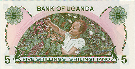 ���������5����󥰻���ND(1982)��UNC