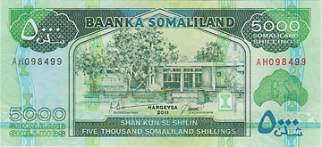 ���ޥ���ɡ�5000����󥰻���2011��UNC